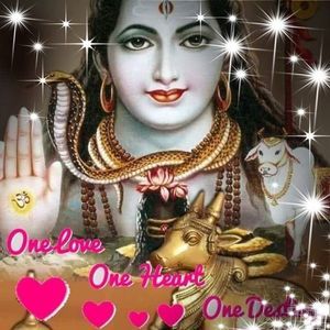 Meet your Posher, Parbati